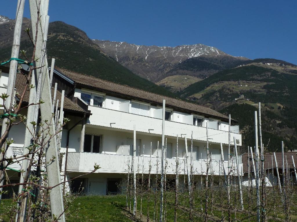 Hotel-Restaurant-Pizzeria Goldrainerhof 외부 사진
